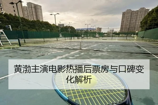 黄渤主演电影热播后票房与口碑变化解析